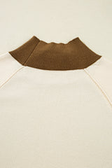 Desert Palm Colorblock Raglan Puff Sleeve Mock Neck Sweater Sweaters JT's Designer Fashion