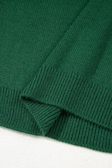 Evergreen Raglan Sleeve Crew Neck Sweater Sweaters JT's Designer Fashion