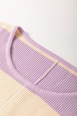 Purple Stripe Borderline Rib Knit Cuffed Dolman Sleeve Sweater Sweaters JT's Designer Fashion