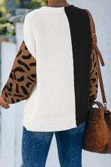 Leopard Print Contrast Color V Neck Sweater Sweaters & Cardigans JT's Designer Fashion