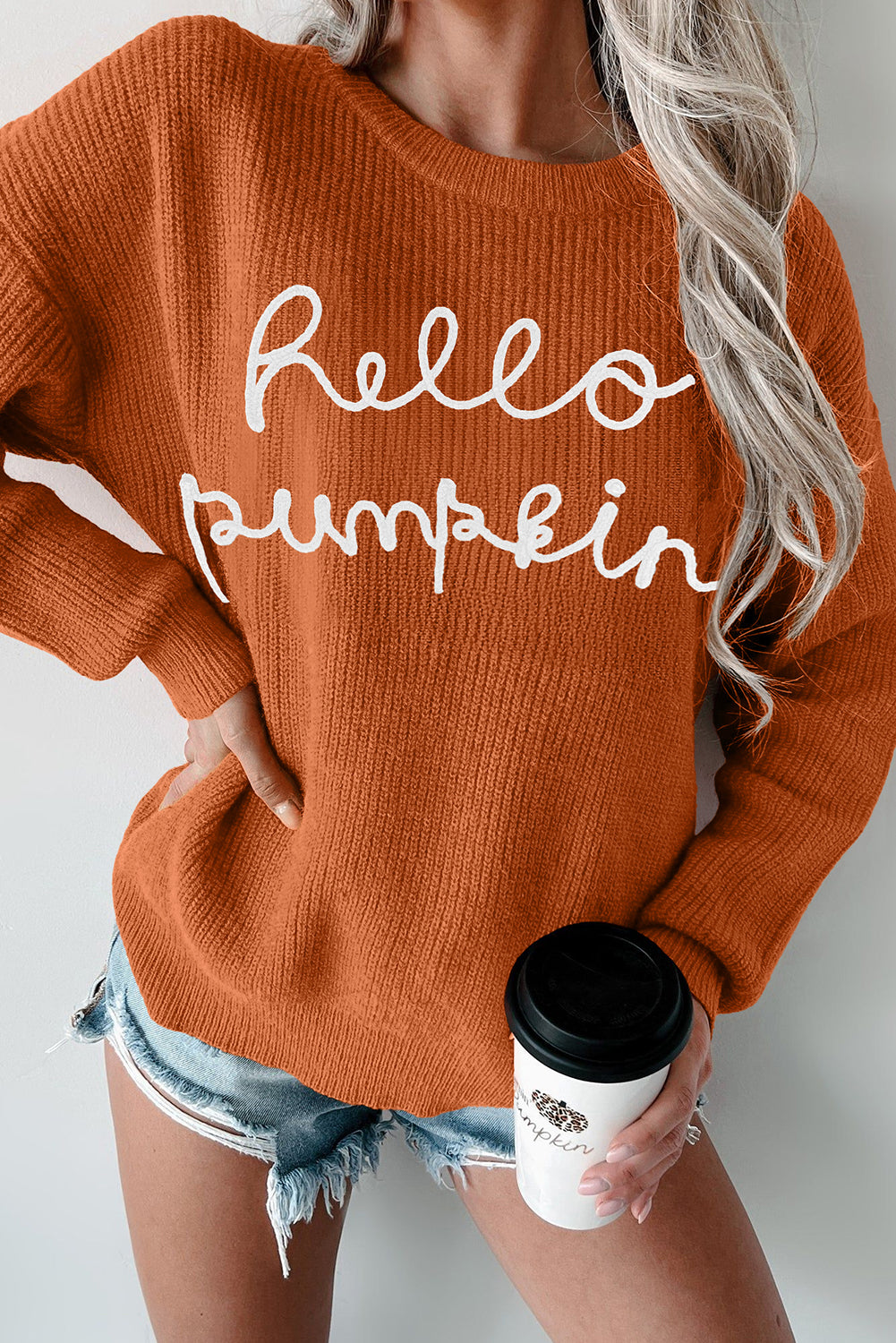 Flamingo Hello Pumpkin Graphic Sweater Sweaters JT's Designer Fashion