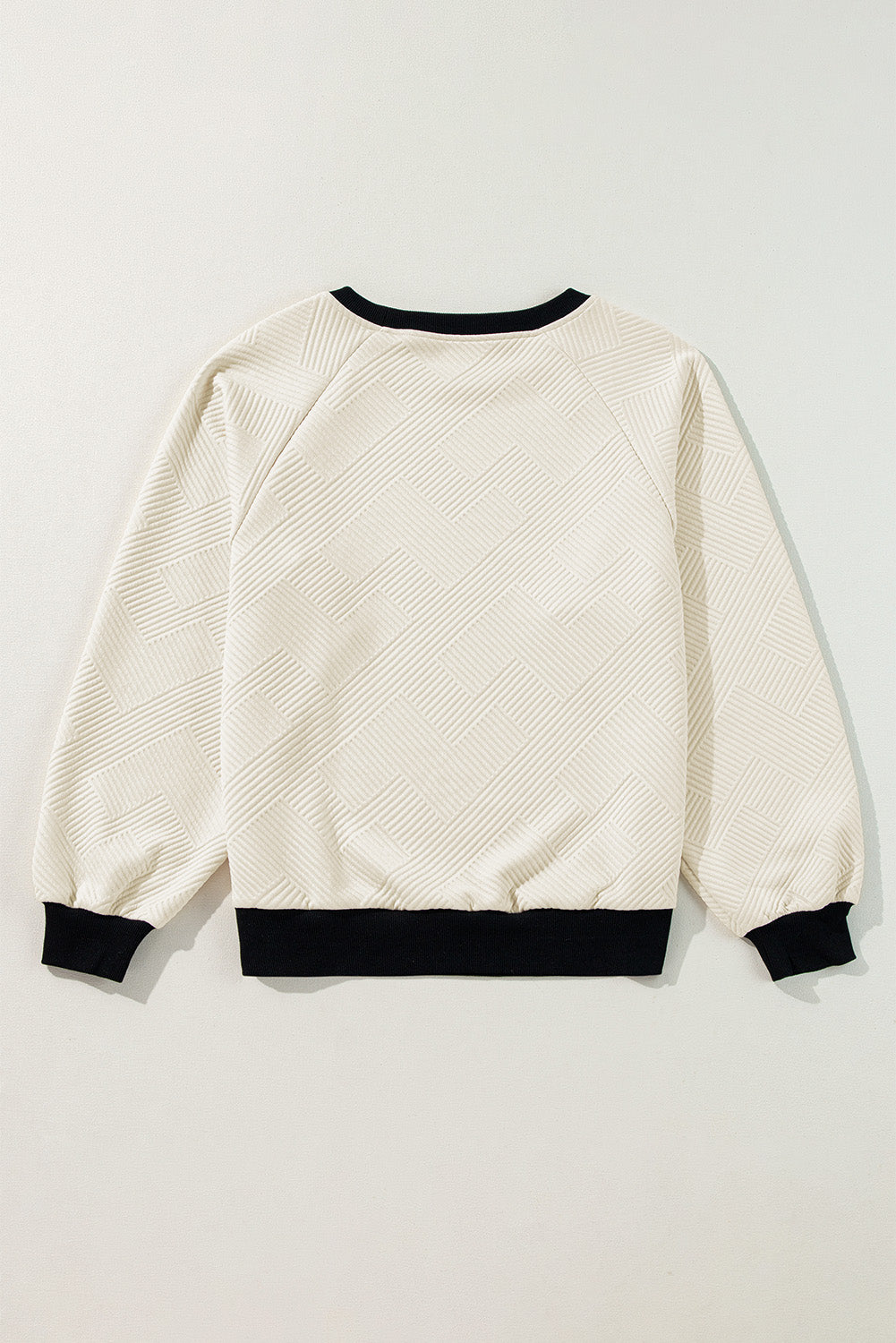 Jet Stream Color Block Edge Raglan Sleeve Crew Neck Textured Top Long Sleeve Tops JT's Designer Fashion