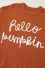 Flamingo Hello Pumpkin Graphic Sweater Sweaters JT's Designer Fashion