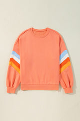 Flamingo Rainbow Striped Sleeve Crew Neck Loose Sweatshirt Sweatshirts & Hoodies JT's Designer Fashion