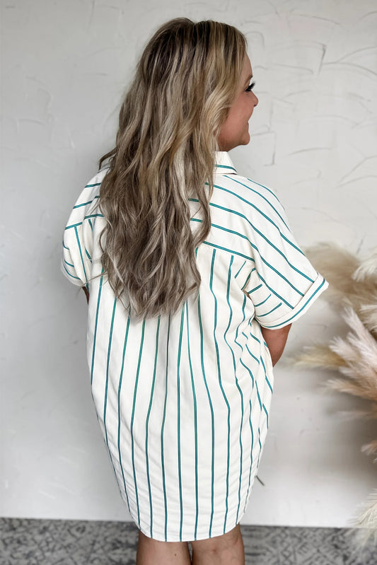 Green Stripe Plus Size St Patricks Day Short Sleeve Buttoned Shirt Dress Plus Size Mini Dresses JT's Designer Fashion