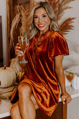 Cinnamon Velvet Smocked Neckline Puff Sleeve Shift Mini Dress Mini Dresses JT's Designer Fashion