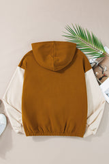 Chestnut Color Block Half Zip Kangaroo Pocketed Hoodie Sweatshirts & Hoodies JT's Designer Fashion