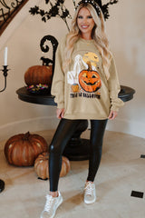 Parchment Spooky Pumpkin Graphic Crewneck Halloween Sweatshirt Graphic Sweatshirts JT's Designer Fashion