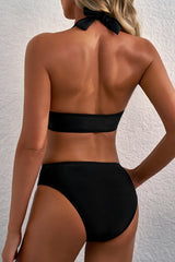 Black Sheer Mesh Edged Halter V Neck Push Up Bikini Bikinis JT's Designer Fashion