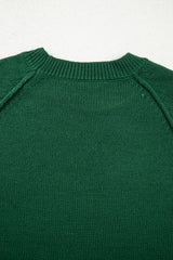 Evergreen Raglan Sleeve Crew Neck Sweater Sweaters JT's Designer Fashion