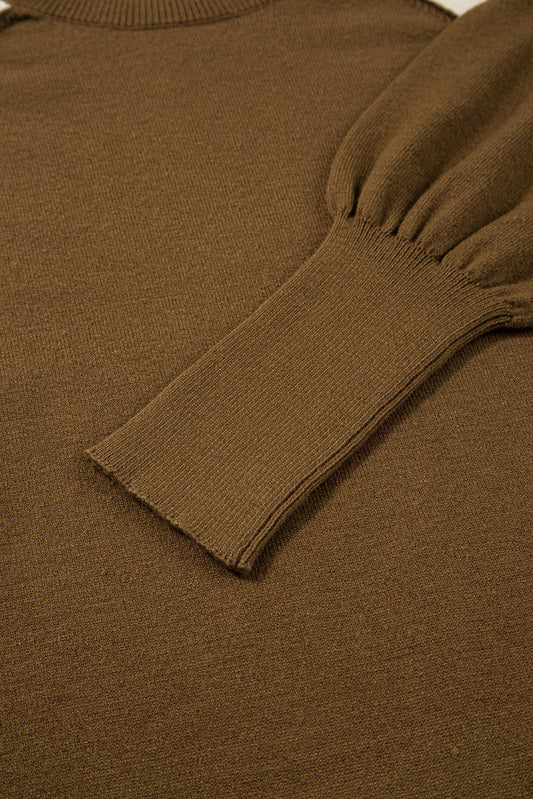 Desert Palm Colorblock Raglan Puff Sleeve Mock Neck Sweater Sweaters JT's Designer Fashion