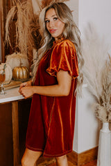 Cinnamon Velvet Smocked Neckline Puff Sleeve Shift Mini Dress Mini Dresses JT's Designer Fashion