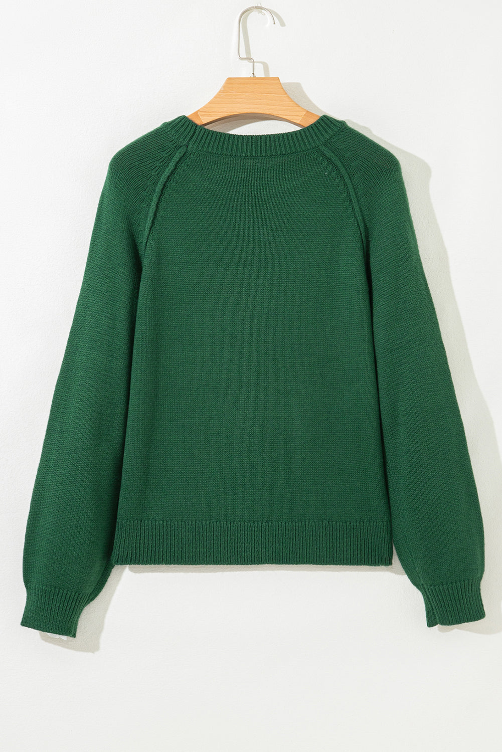 Evergreen Raglan Sleeve Crew Neck Sweater Sweaters JT's Designer Fashion