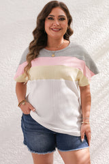 White Colorblock Patchwork Batwing Sleeve Ribbed T Shirt White Plus Size JT's Designer Fashion