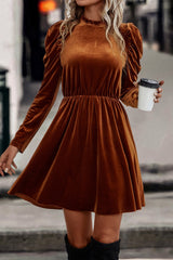 Chestnut Velvet Frilled Neck Gigot Sleeve Swing Dress Dresses JT's Designer Fashion